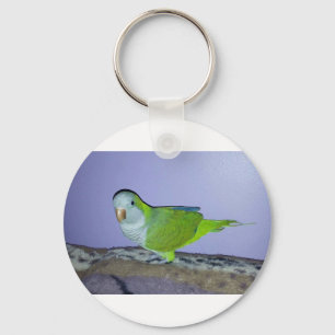 Quaker Parrot Schlüsselanhänger