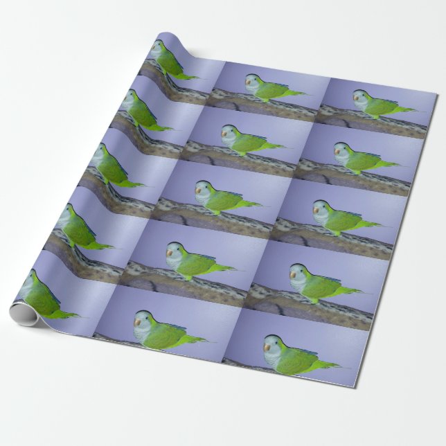 Quaker Parrot Wrapping Paper Geschenkpapier (Ungerollt)