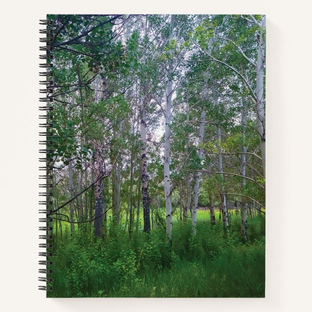 Quakies Spiral Notebook Notizbuch (Vorderseite)