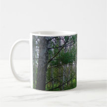 Quakies Tasse