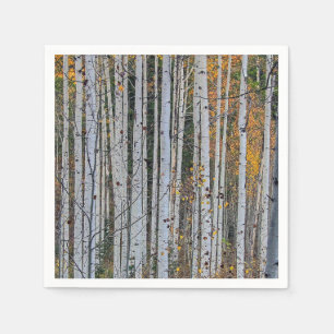 Quaking Aspen im Herbst Serviette