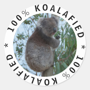 Qualifizierte Koalafied Niedlich Funny Koala in ei Runder Aufkleber