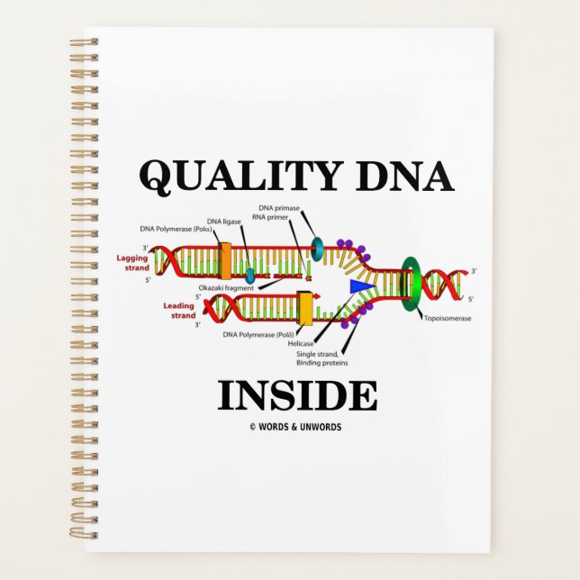 Qualitativ hochwertige DNA innerhalb der DNA Repli Planer (Vorderseite)