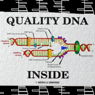 Qualitäts-DNA-Inside (DNA-Replikation) Puzzle