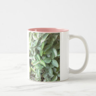 Qualitäts-Foto-Tasse Zweifarbige Tasse