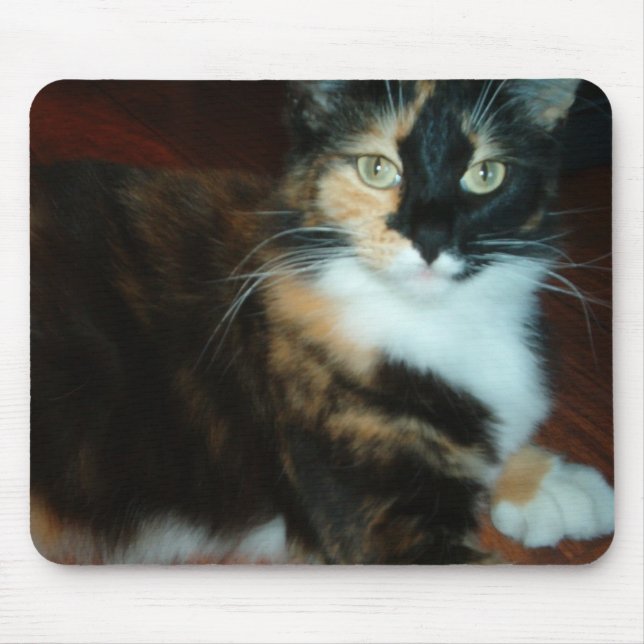 Qualitäts-Mausunterlage Fräuleins Calico Kitty Mousepad (Vorne)