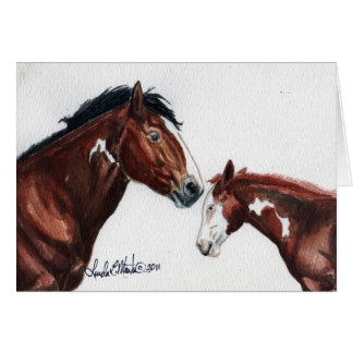 Qualitäts-Zeit mit Eagle und Falken