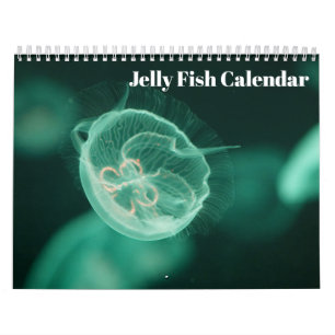 Qualle 2027 kalender
