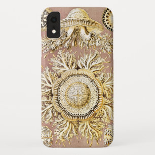 Qualle, Discomedusae von Ernst Haeckel Case-Mate iPhone Hülle