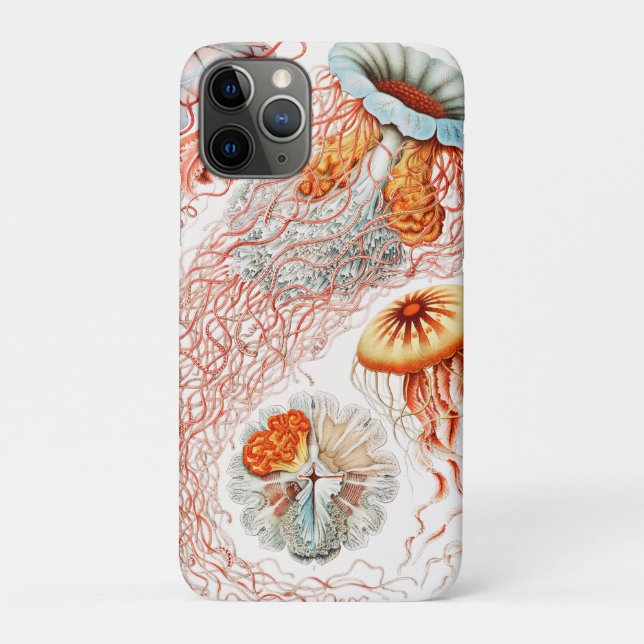 Qualle, Discomedusae von Ernst Haeckel Case-Mate iPhone Hülle (Rückseite)