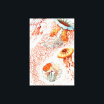 Qualle, Discomedusae von Ernst Haeckel Leinwanddruck<br><div class="desc">Quallen,  Discomedusae Scheibenquallen von Ernst Haeckel Canvas Print</div>