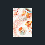 Qualle, Discomedusae von Ernst Haeckel Leinwanddruck<br><div class="desc">Quallen,  Discomedusae Scheibenquallen von Ernst Haeckel Canvas Print</div>