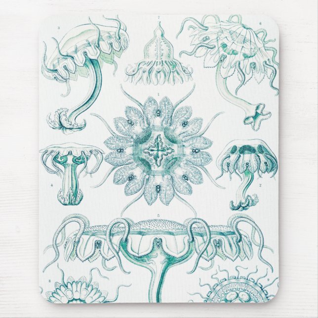Qualle, Discomedusae von Ernst Haeckel Mousepad (Vorne)