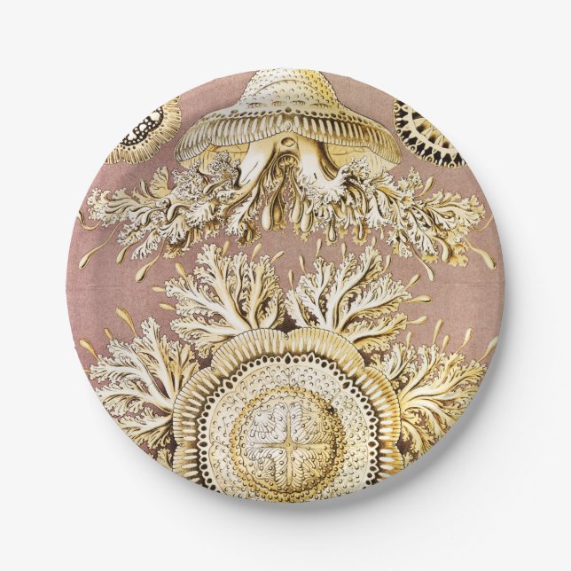 Qualle, Discomedusae von Ernst Haeckel Pappteller (Vorderseite)