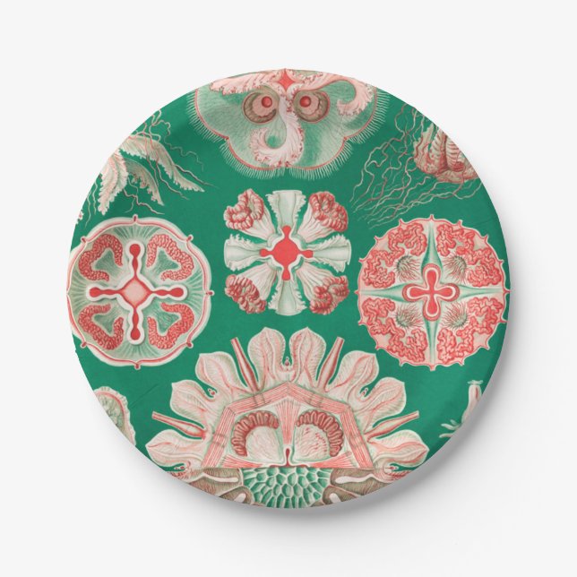 Qualle, Discomedusae von Ernst Haeckel Pappteller (Vorderseite)