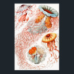 Qualle, Discomedusae von Ernst Haeckel Poster<br><div class="desc">Qualle,  Discomedusae Scheibenquallen von Ernst Haeckel Poster</div>