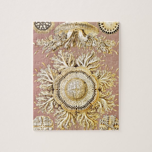 Qualle, Discomedusae von Ernst Haeckel Puzzle (Vertikal)