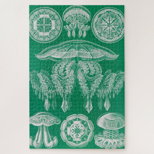 Qualle, Discomedusae von Ernst Haeckel Puzzle (Vertikal)