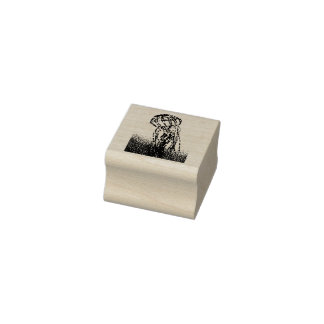 Qualle Gummistempel