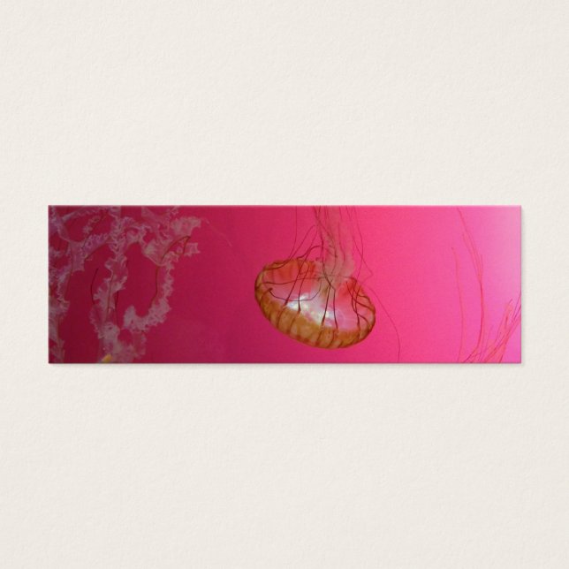 Qualle Pink (Vorderseite)