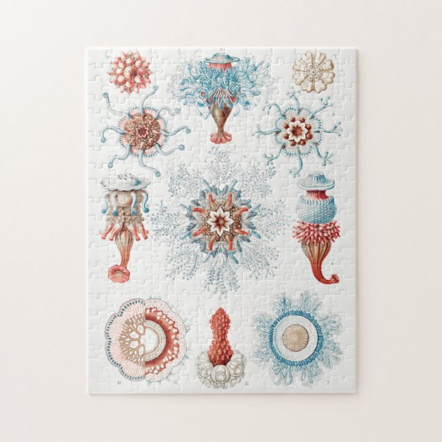 Qualle, Siphonophorae Staatsquallen Seeverkehr Puzzle (Vertikal)