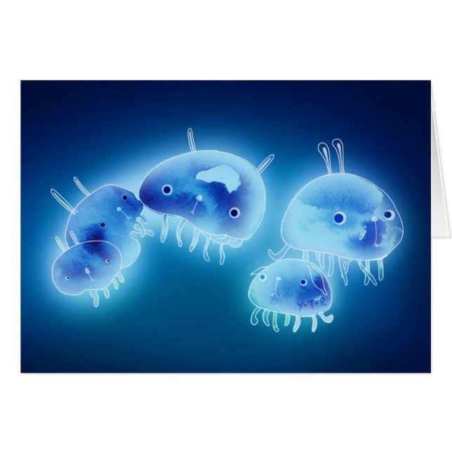 Quallen 2013 (Vorderseite (Horizontal))