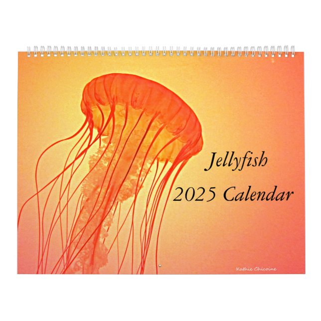 Quallen 2025 Kalender (Titelbild)