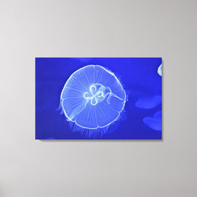 Quallen 2 leinwanddruck (Vorderseite)