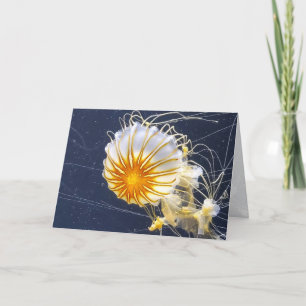 Quallen Aquarium Meereswelt Jeder Anlass Blank Dankeskarte