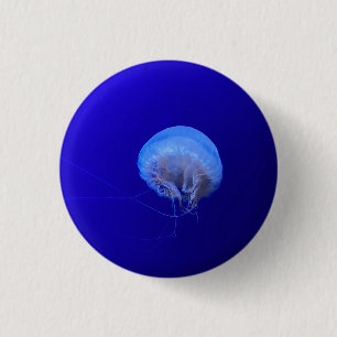 Quallen Button