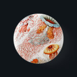Quallen, Discomedusae von Ernst Haeckel Button<br><div class="desc">Quallen,  Discomedusae Scheibenquallen,  von Ernst Haeckel Button</div>
