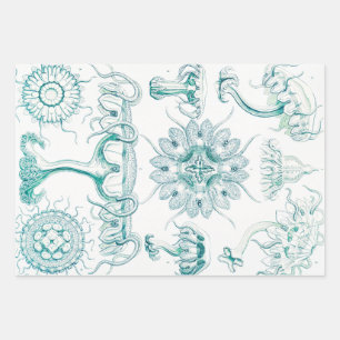 Quallen, Discomedusae von Ernst Haeckel Geschenkpapier Set
