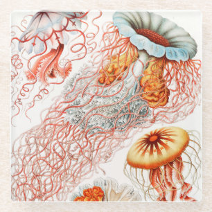 Quallen, Discomedusae von Ernst Haeckel Glasuntersetzer
