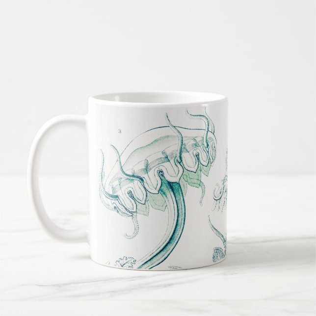 Quallen, Discomedusae von Ernst Haeckel Kaffeetasse (Links)