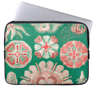 Quallen, Discomedusae von Ernst Haeckel Laptopschutzhülle