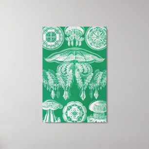 Quallen, Discomedusae von Ernst Haeckel Leinwanddruck