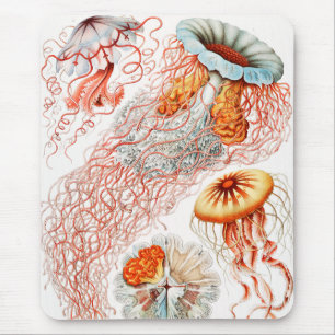 Quallen, Discomedusae von Ernst Haeckel Mousepad