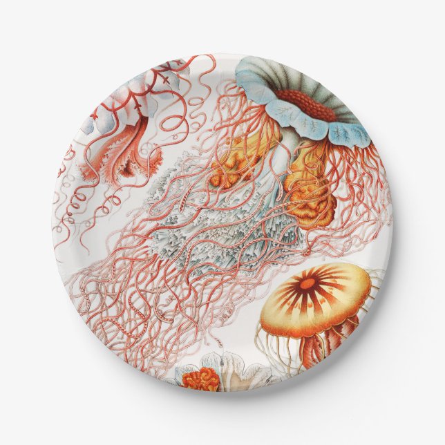 Quallen, Discomedusae von Ernst Haeckel Pappteller (Vorderseite)
