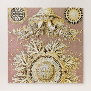 Quallen, Discomedusae von Ernst Haeckel Puzzle