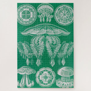 Quallen, Discomedusae von Ernst Haeckel Puzzle