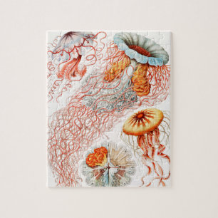Quallen, Discomedusae von Ernst Haeckel Puzzle