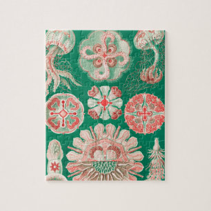 Quallen, Discomedusae von Ernst Haeckel Puzzle