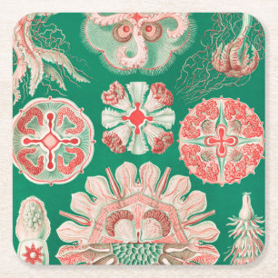 Quallen, Discomedusae von Ernst Haeckel Rechteckiger Pappuntersetzer