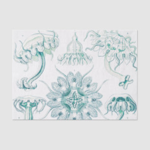 Quallen, Discomedusae von Ernst Haeckel Seidenpapier