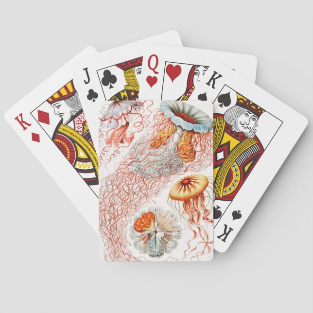 Quallen, Discomedusae von Ernst Haeckel Spielkarten (Rückseite)