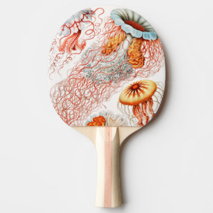 Quallen, Discomedusae von Ernst Haeckel Tischtennis Schläger
