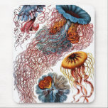 Quallen durch Ernst Haeckel Mousepad<br><div class="desc">Eigenschaften dieses Produktes die Farbillustration der Quallen von Ernst Haeckels "Kunstformen der Natur" (1904). Ernst Haeckel war ein deutscher Biologe, ein Naturwissenschaftler, ein Philosoph, ein Arzt, ein Professor und ein Künstler. Er entdeckte, beschrieb und nannte Tausenden der neuen Spezies. Seine Kunst hat viele viele Jahre gedauert und einige der schönsten...</div>