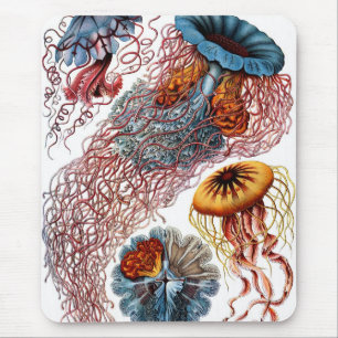 Quallen durch Ernst Haeckel Mousepad