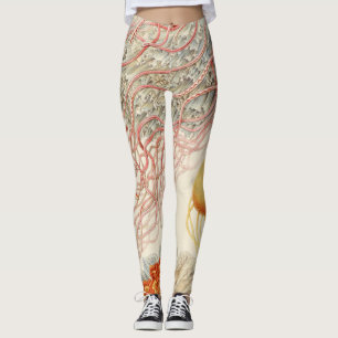 Quallen - Ernst Haeckel Leggings