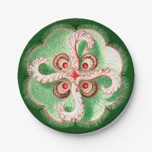 Quallen Ernst Haeckels Discomedusae (Aurelia) Pappteller